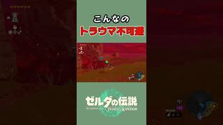 【ティアキン】結局なんで消えたの…？【切り抜き】 #ゼルダの伝説 #ゼルダの伝説ティアーズオブザキングダム #ゲーム実況 #shorts