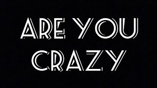 Are you crazy // lyric video