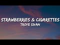 Troye Sivan Strawberries Cigarettes Lyrics