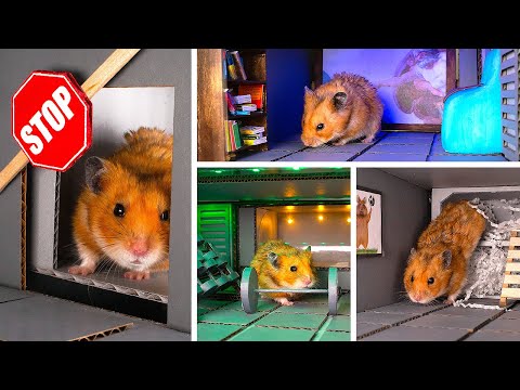 Bau einer sicheren Hamster-Hütte aus Pappe