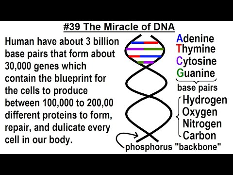 Geometry Ch 2 Reasoning and Proofs 38 of 46 How to Determine the Next Number