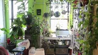 How to Green Your Home (Part 1): Build an Indoor Vertical Garden