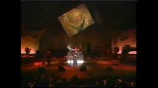 David Sanborn Group - Live Under the Sky 1988