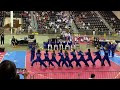 American Tigers Martial Arts DEMO TEAM