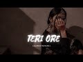 Teri Ore Singh Is Kinng SLOWED REVERB