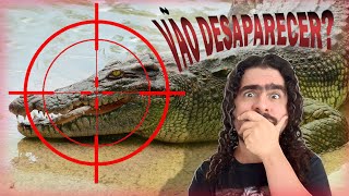 QUAIS CROCODILOS PODEM DESAPARECER? (#Pirula 352.5)