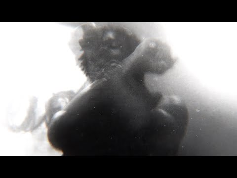 BROLY500! — Paradis/ As Above So Below¡ (OFFICIAL ANIMATED MUSIC VIDEO)