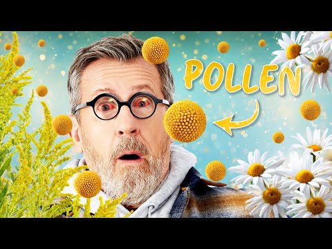 Why Are So Many People Allergic to Pollen?
