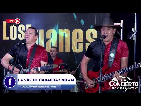 Amor a los 4 vientos y Miraditas de amor - Los Juanes | Concierto Carranguero | Show Musical
