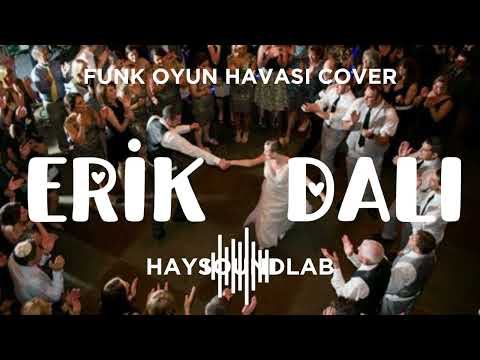 Erik dalı (Funk oyun havası cover) - Haysoundlab