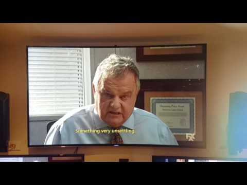 Sunny in Philadelphia Goose