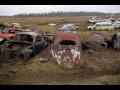 Classic Vintage VWs Beetles, Ghias, Buses, and BuGs in a Graveyard called “BugsVille”