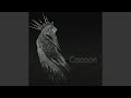 Cocoon