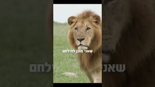 "תדע מהכוח שלך ותשתמש בו"... המאמן והקאוצ'ר אוהד טננבאום הי"ו
