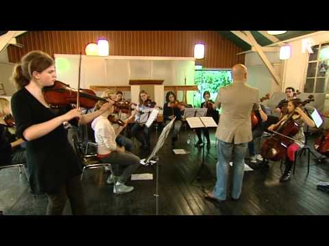 Hellendaal Muziekinstituut viert 25-jarig bestaan