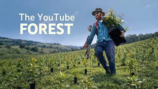 You Watched, So I Planted A Forest