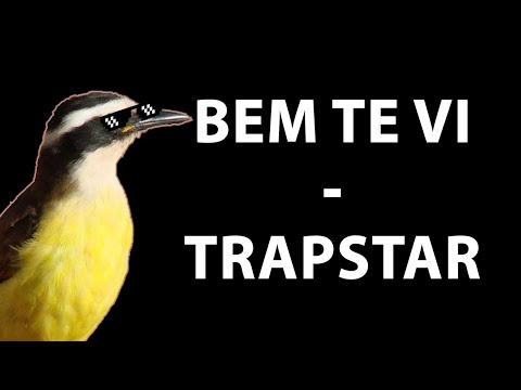 BEM-TE-VI - TRAPSTAR(BEAT MEME).