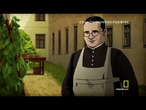 Jérome Lejeune, padre de la genética moderna y provida