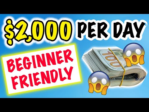 How To Make 2000 Dollars A Day! Beginner Friendly
