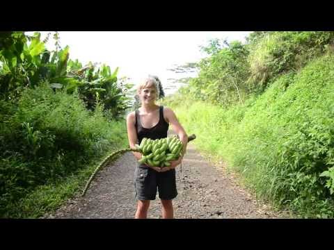 Marquesas in 3 minutes