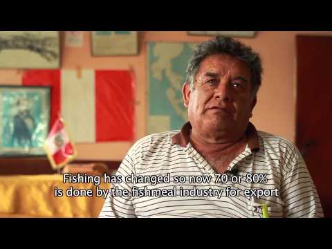 Farmageddon - Welcome to Chimbote, Fishmeal Capital of the World