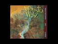 Mephisto Walz - To the Schadows (Unauthorized Day of Gasoline Remix)