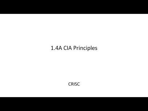 CRISC 1 3 Elements of Risk