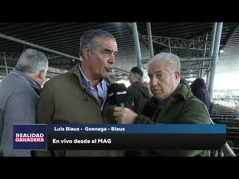 REALIDAD GANADERA - Luis Biaus (19-09-25)