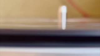 Litzberg - Delete And Start Again video