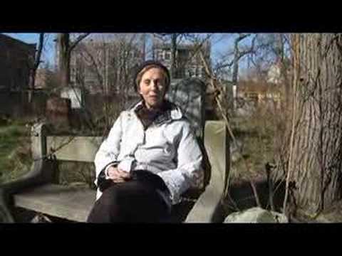 Chicago’s Jewish Graceland – a slum for the dead? Chicago’s Jewish Graceland – a slum for the dead?