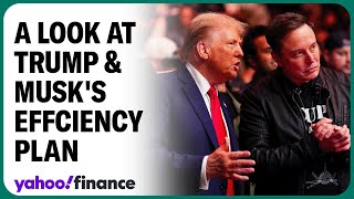 How far will Trump and Musk go with efficiency?
