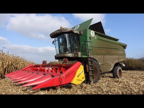 Kukurydza/Corn 2015 - GRH Gąsiorek | Agropol Sokołowo | Fendt Team | Mercedes Benz