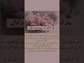 Hamla Aurat Ko Kya Ni Khana Chahiye Hamal Me Kya Ni Khana Chahiye Viral