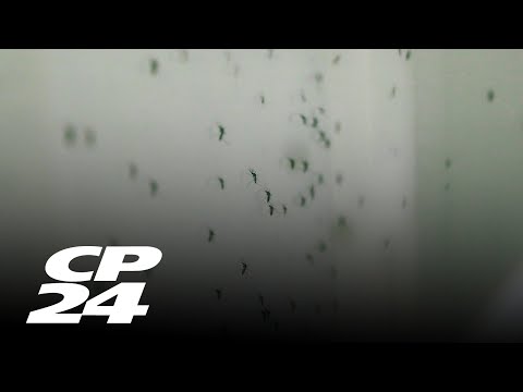 Top science and tech stories from Dan Riskin