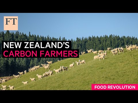 image-What is carbon farming and how does it work?