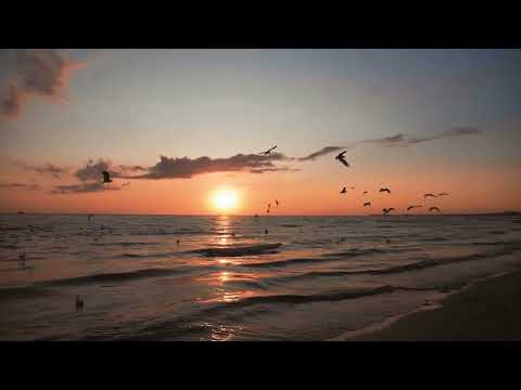 Yng Lvcas, Santa Fe Klan, Jowell y Randy - SI TÚ ME LLAMAS