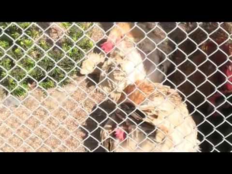 Loytyhän se paikka osa2