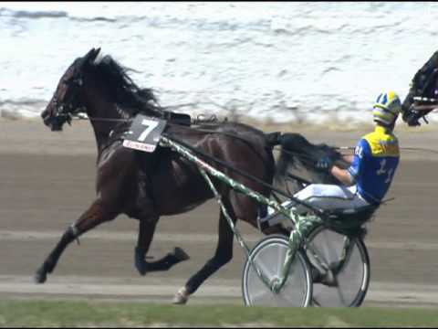 Trotto 30/04/2016 - 2° Corsa