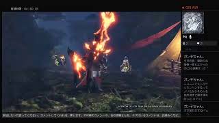 モンハンアイスボーン［参加型］導きの地周回