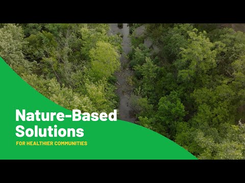 Barton Creek Habitat Preserve | The Nature Conservancy