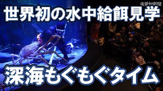 タカアシガニの餌やりを実演する山田さん＝竹島水族館で