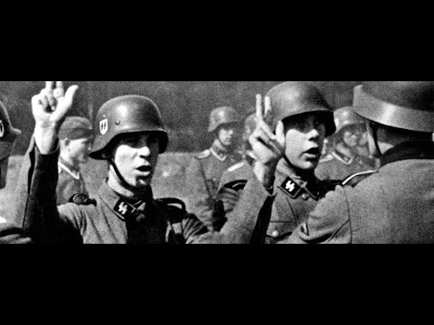 Fegyvertan - A Waffen-SS