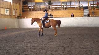 preview picture of video 'BWG med AWC 2014-05-03 - Reining C'