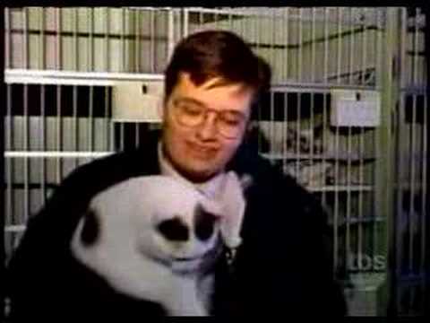 OrigamistaKun’s Video 65427882897 xMYbS14Pwcg