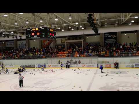 Corona Wolves Brasov - Ferencvaros 4:3, Mol league