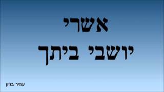 עמיר בניון