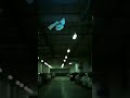 Hot Korean Girl Instagram Reel Video