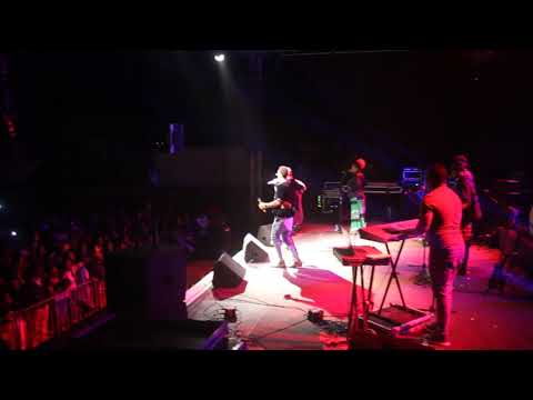 WILLY SEMEDO - NHA CUTXUTXA FT GILSON FURTADO *LIVEBAND*