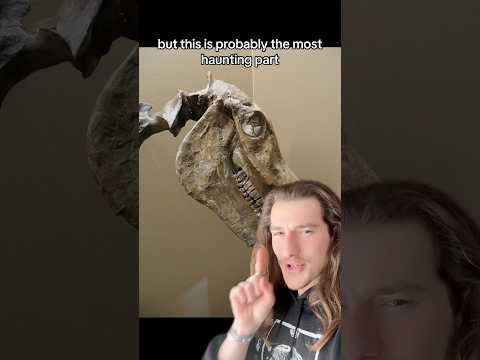 Ancient Horse Skeletons Are Strange…