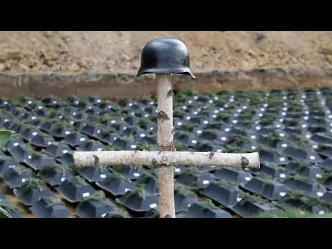 WDR 16.12.1919 - Der "Volksbund" wird gegründet